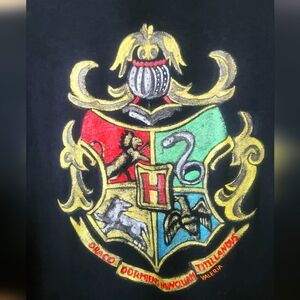 T-shirt Handmade painting Garry Potter